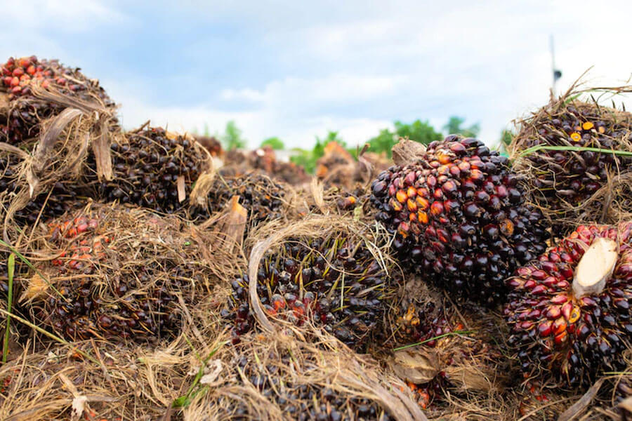 uses-of-palm-kernel-shell-pt-inti-trading-nusantara